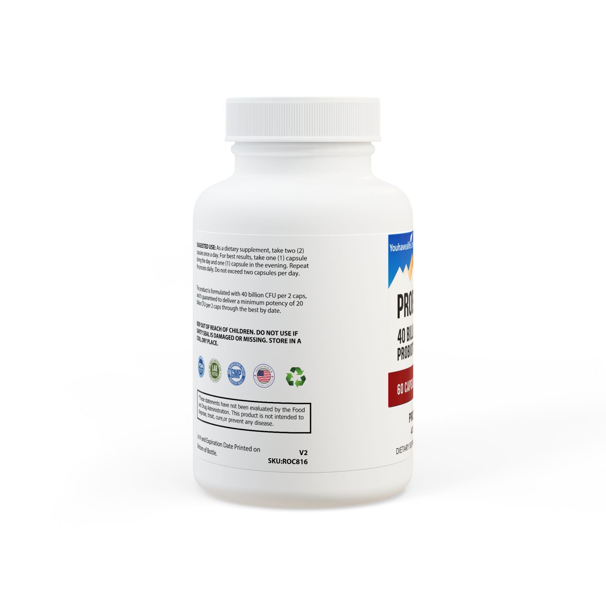 Probiotics Supplement (60 Capsules)