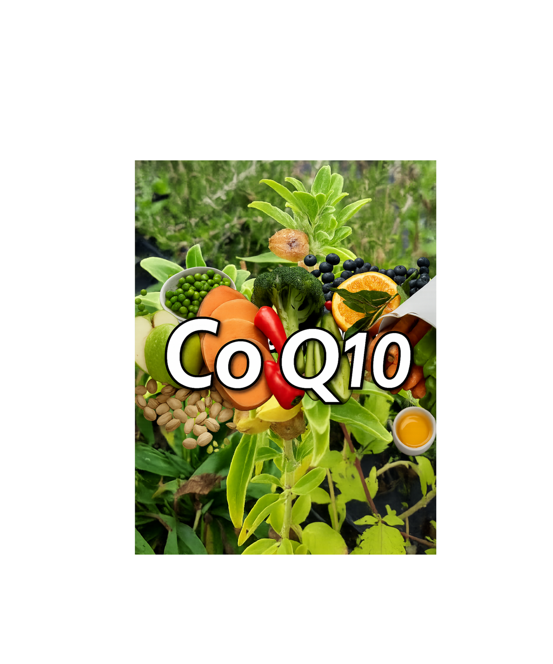 The Essential Benefits of CoQ10 (Ubiquinone) Supplement