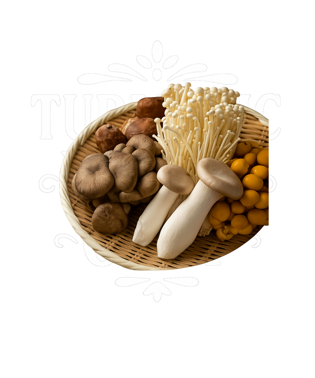 The Powerful Health Benefits of Mushroom Blend Supplements