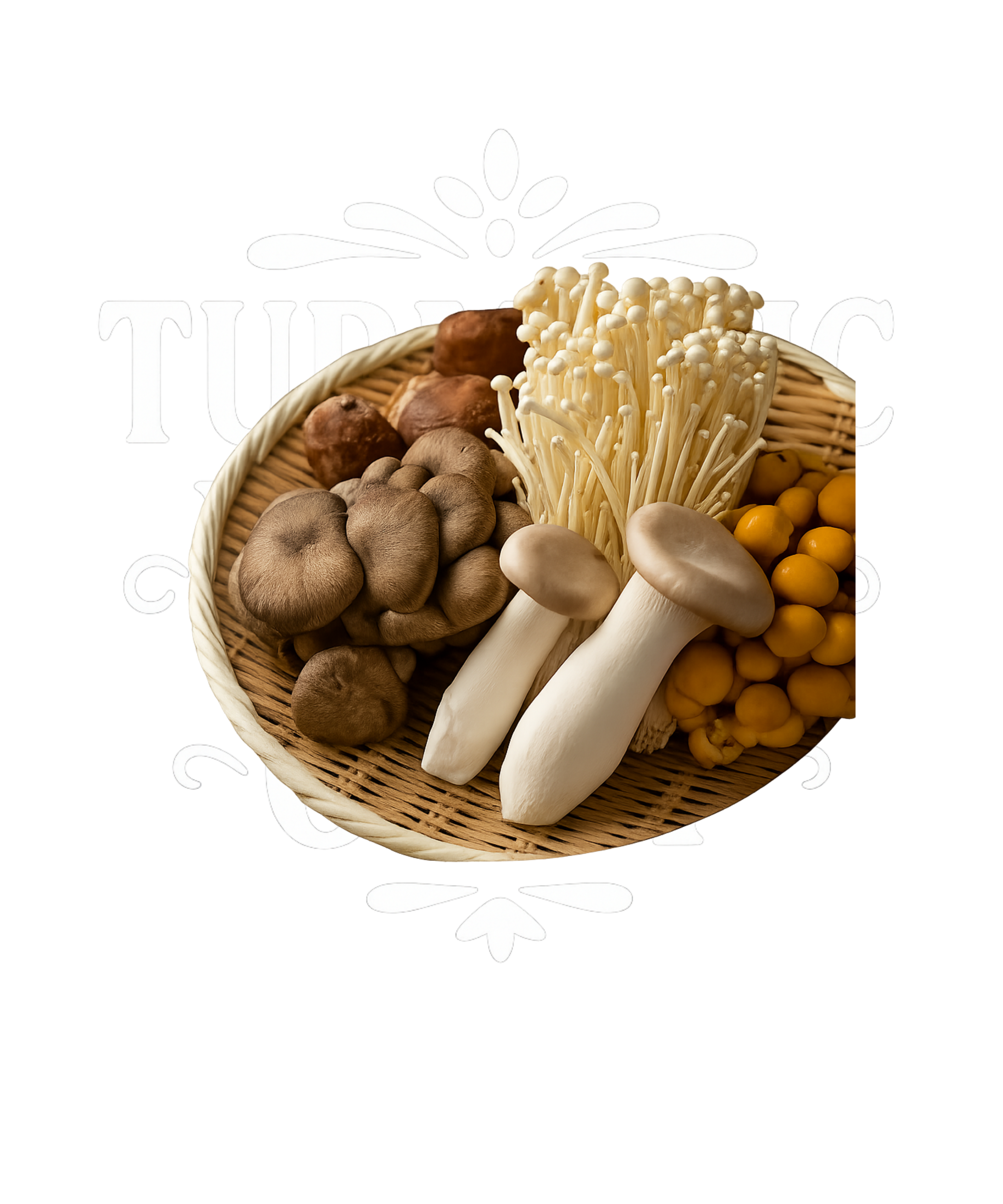The Powerful Health Benefits of Mushroom Blend Supplements