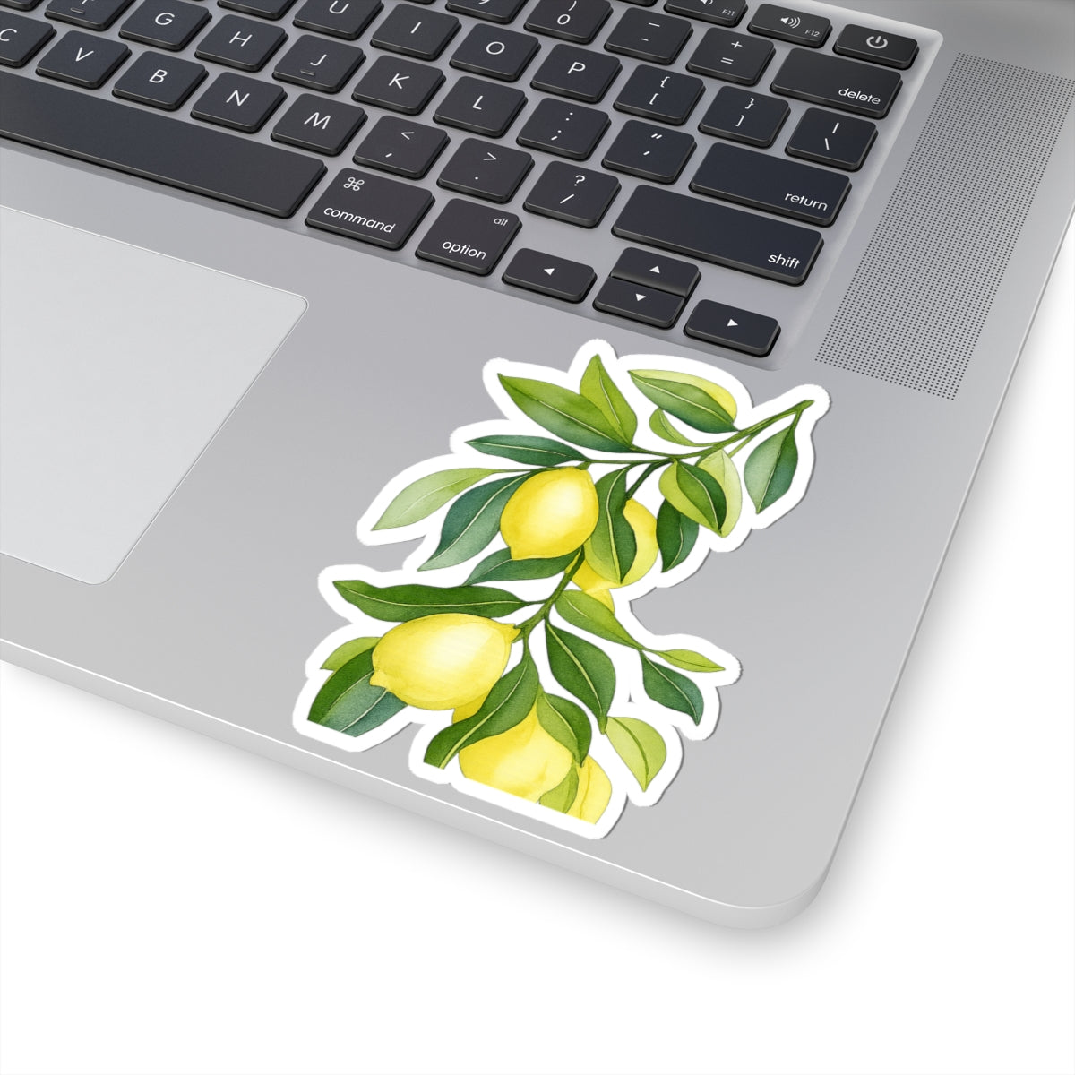 Lemon Branch Kiss-Cut Stickers, Fresh Fruit Decor, Laptop Stickers, Eco-Friendly Gifts, Botanical Art, Summer Vibes